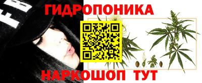 ECSTASY Старая Купавна