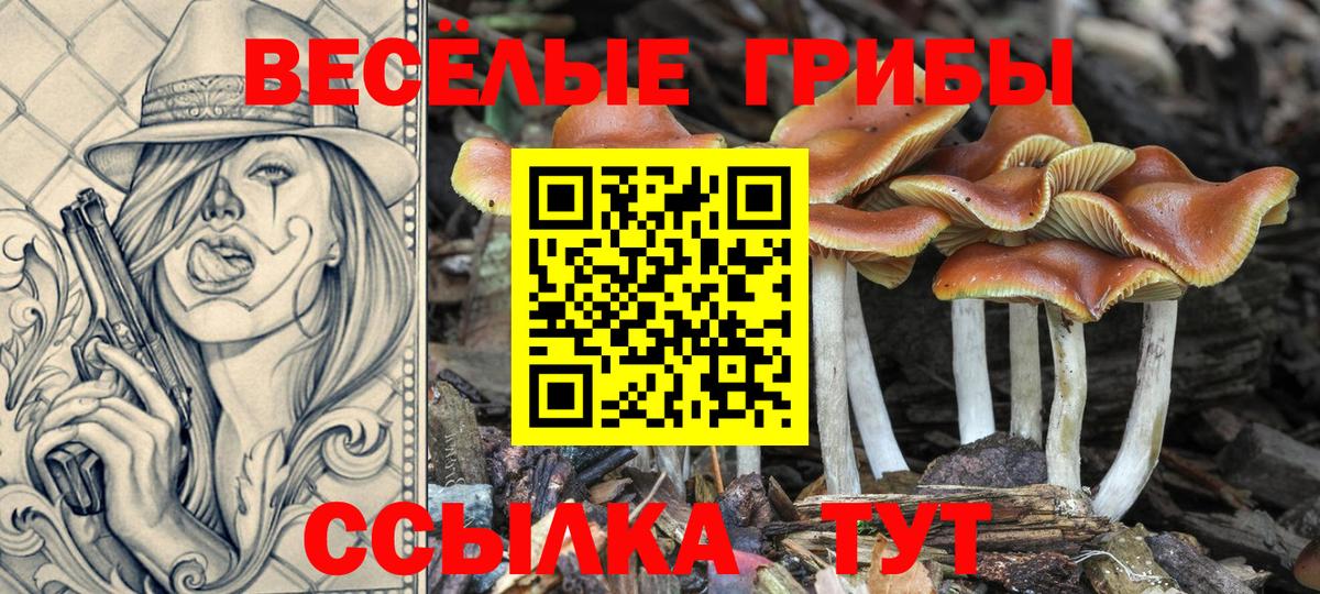 Галлюциногенные грибы Psilocybine cubensis  Псилоцибиновые грибы мицелий  где купить наркотик  Вход с VPN  Новозыбков 