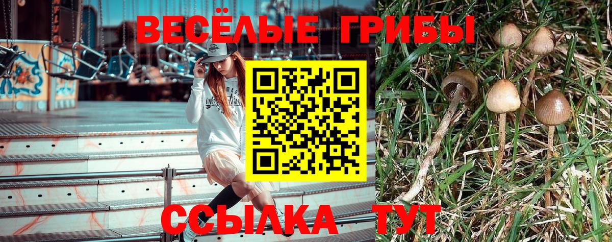 Галлюциногенные грибы Magic Shrooms Новозыбков