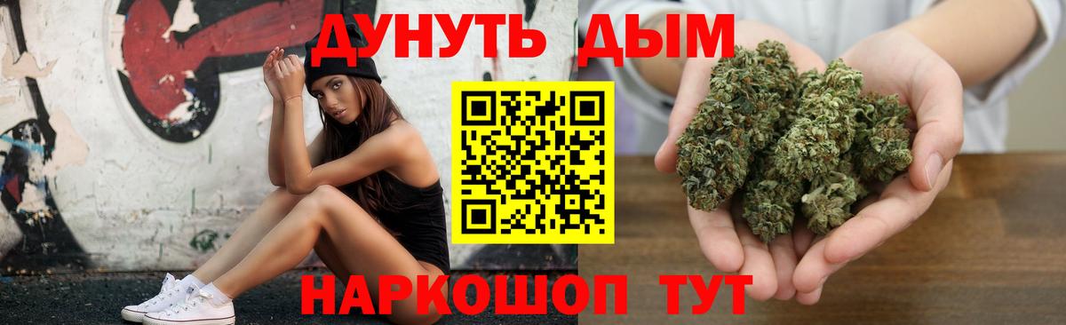 МАРИХУАНА ГИДРОПОН Новозыбков